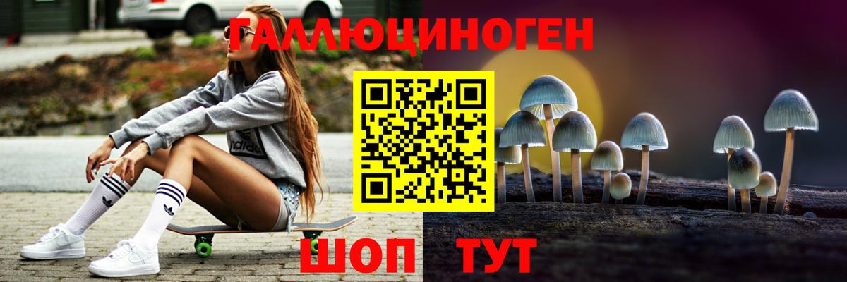 Мурманск  Галлюциногенные грибы Cubensis  Вход с VPN 